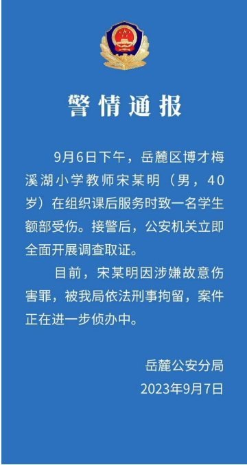 夹子盘图片